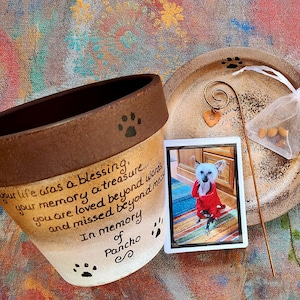 May include: A white ceramic planter with a brown rim and paw prints. The planter has a handwritten message that reads "Your life was a blessing, your memory a treasure... You are loved beyond words and missed beyond measure. In memory of Pancho". A small photo of a hairless dog wearing a red sweater is attached to the planter.