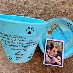 Pet Memorial with Photo, Pet Memorial Planter, Memorial Gift Dog, Memorial Gift Cat, Garden Pet Memorial, Sympathy Dog Loss, Sympathy Cat image 1