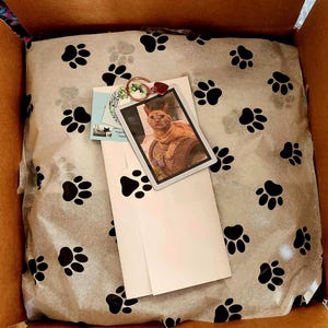 Rainbow Bridge Pet Memorial Planter gift wrapped with paw print tissue and pets photo along with personalized gift note