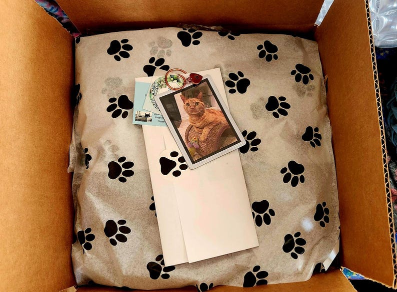 Rainbow Bridge Pet Memorial Planter gift wrapped with paw print tissue and pets photo along with personalized gift note