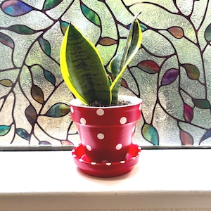 Polka Dot Planter · Polka Dot Flower Pot · Small Polka Dot Planter · Succulent Flower Pot · Herb Planter · Small Flower Pots