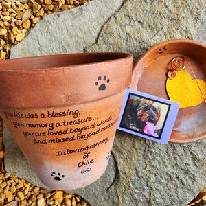 Pet Loss Gift Personalized Dog Memorial Garden Cat Memorial Pet Loss Sympathy Cat Loss Sympathy Herb Planters Rainbow Bridge image 5