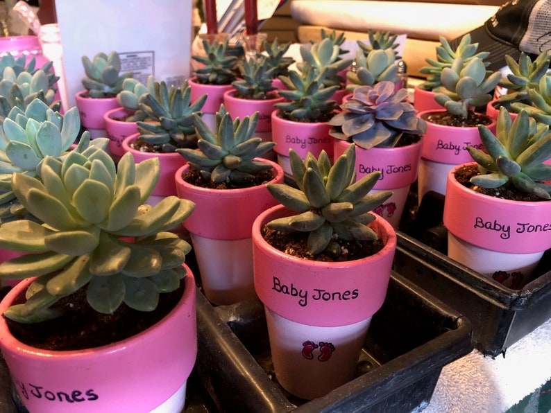 Baby Shower Favors Baby Feet Design Painted Flower Pots Etsy Baby Shower Favors Baby Feet Design Painted Flower Pots Etsy