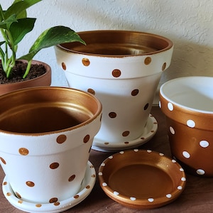 Medium painted polka dot planter in custom color combinations. Hand-painted terracotta flower pot with matching saucer, sealed for indoor or outdoor plants. Shown in gold and white.