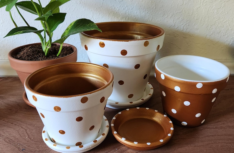 Medium painted polka dot planter in custom color combinations. Hand-painted terracotta flower pot with matching saucer, sealed for indoor or outdoor plants. Shown in gold and white.