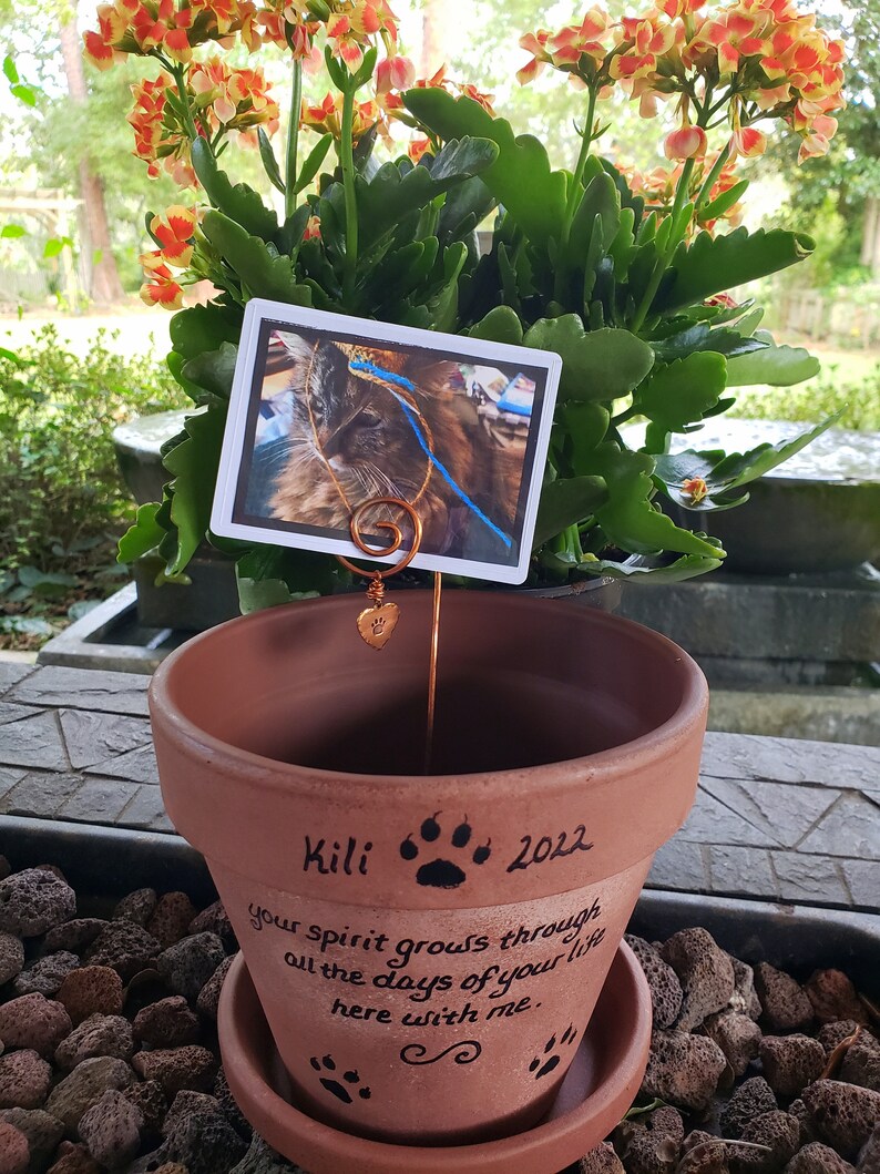 Pet Loss Gift Pet Memorial Gift Dog Memorial Cat Memorial Etsy