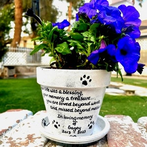 Pet Loss Gift Dog Dog Memorial Gift Pet Memorial Gift Pet Loss Sympathy Garden Cat Memorial Rainbow Bridge Dog Gift Pet Grief image 1