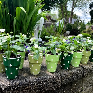 Polka Dot Baby Shower Favors • Set of 10 Mini Planters • Succulent Favor Pots • Baby Shower Table Decor • Boy or Girl Shower Gifts