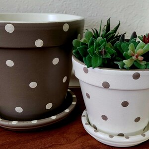 Puede incluir: Dos macetas de cer&aacute;mica con platos a juego. La maceta m&aacute;s grande es de color marr&oacute;n oscuro con lunares blancos, mientras que la m&aacute;s peque&ntilde;a es blanca con lunares marrones y contiene un grupo de plantas suculentas verdes y rojo oscuro.
