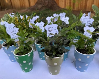 Set de 10 recuerdos para baby shower · Mini macetas · Macetas de lunares · Recuerdos para baby shower o boda · Macetas para suculentas · Regalos para invitados