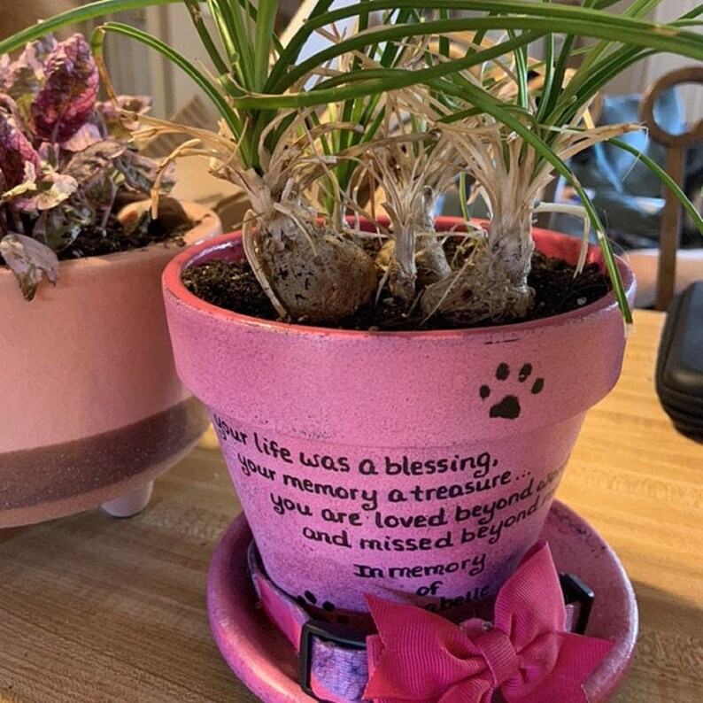 rainbow bridge pet memorial planter personalized with pet name