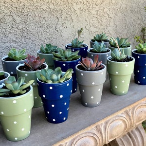 Baby Shower Favors Shower Favors Baby Girl Baby Boy Shower Baby Shower Decor Succulent Planter Favors Table Decor for Baby Shower image 1