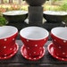 see more listings in the PAINTED FLOWER POTS section