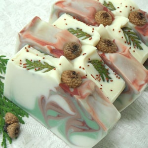 May include: Several rectangular bars of soap featuring a white base with swirls of red and green. Each bar is topped with a small brown acorn cap and a sprig of green cedar foliage. Small red seeds are scattered across the top of the soap bars.