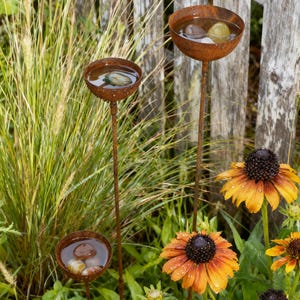 May include: Three rustic metal bird baths with water and stones, set in a garden with tall grass and orange coneflowers. The bird baths have a weathered, rusty appearance and are on slender stems.