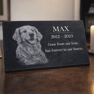 Może przedstawiać: Czarna tablica pamiątkowa z szarym portretem Golden Retrievera. Na tablicy napis: "MAX 2012-2023 Odszedł z naszych żyć, ale na zawsze w naszych sercach."