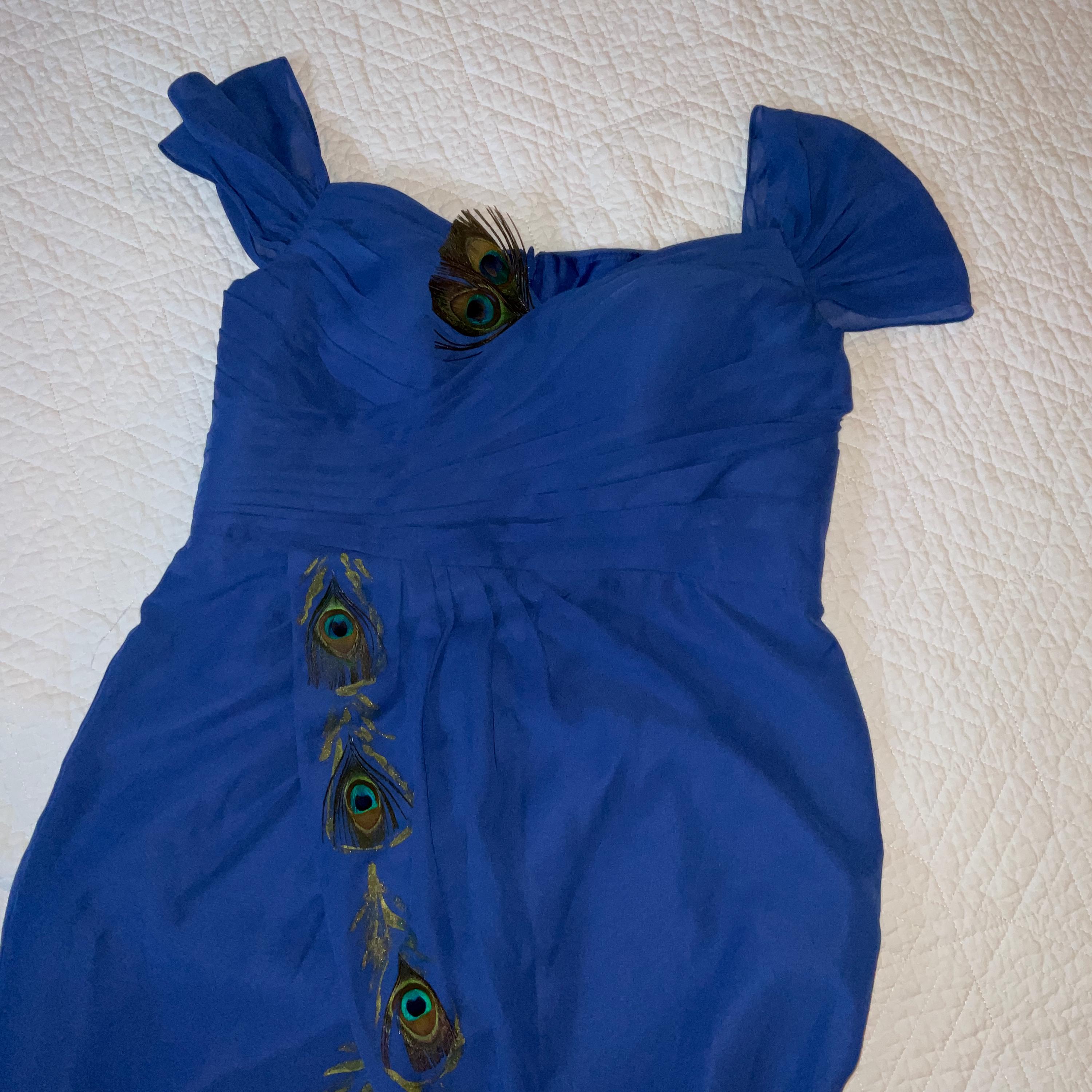 blue peacock feather dress Royal Peacock Princess Gown, 4-5Y