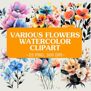Clipart de flores em aquarela, 25 vários PNG florais, PNG digital de alta qualidade, papel de diário de lixo, artesanato escolar, arte de parede