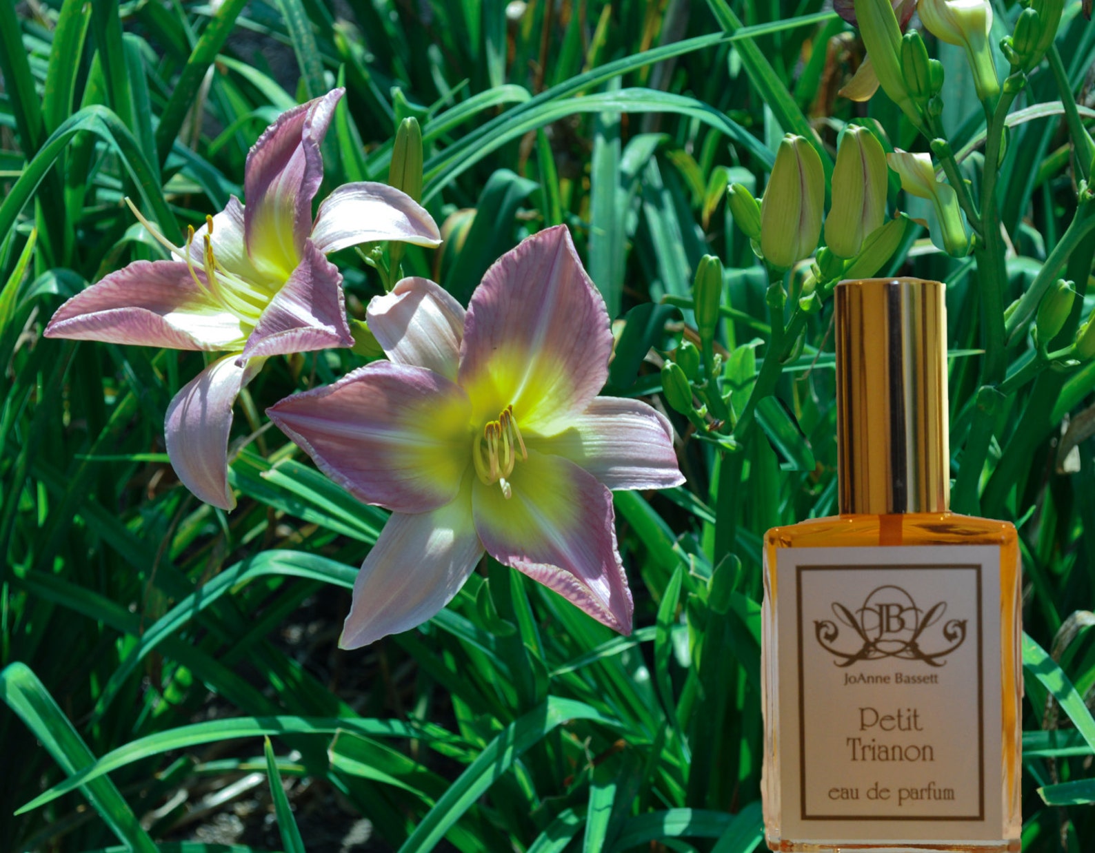 Духи natural. Духи Трианон женские. Духи Joanne Bassett "Madam de Pompadour". Royal Perfume Blossom. Perfume Sample.