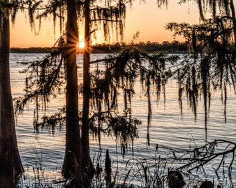 Sunset over Mobile Delta from Blakeley State Park Photograph