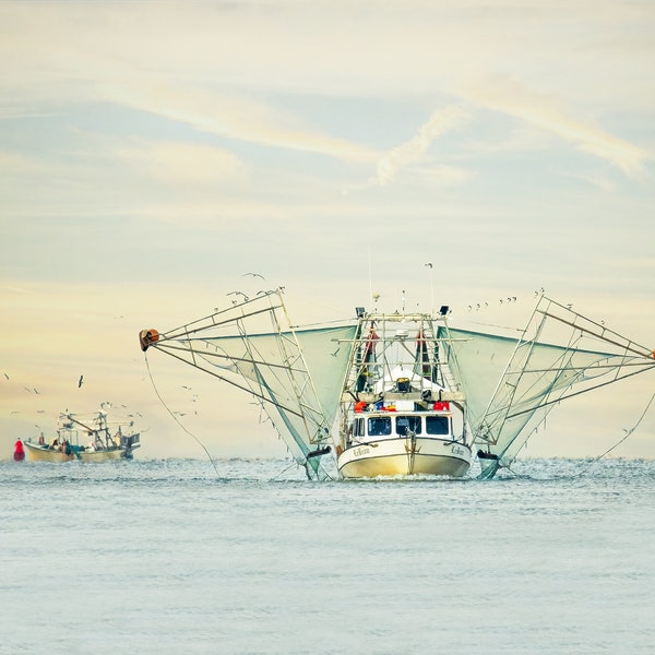 Got Shrimp Photograph - Shrimp boat in Bayou la Batre, AL