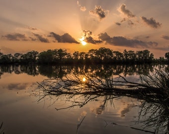 Atchafalaya Swamp Louisiana Sunset Photograph