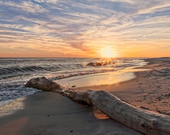 Driftwood on the Beach at Sunset Photograph