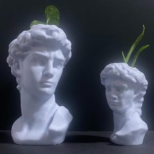 Statue of David Planter Hollow 3D Printed Bust, Biodegradable PLA Pot with Drainage for Indoor/Outdoor Use, Artistic Home Decor Gift