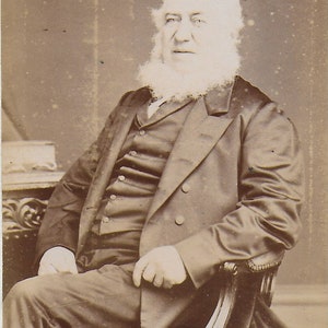 Victoriaanse foto, CDV, Oude heer, Witte baard, Zittend in stoel bij Bureau George Beales, Spalding