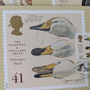 Vintage PQQ Postkarten Set Wetland Wildfowl, Enten, Enten, Gänse, Vögel, Kunst Briefmarken, Basteln, Kunstprojekte, Journals, Wand Kunst,