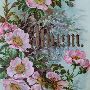 Viktorianische Albumseite, Blumendekoration, Albumseite, Kabinett Karte, Wild Rosen, Journal, Basteln, Kunstprojekte