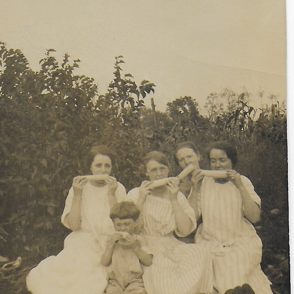 Vintage Photograph, Eating Corn, Cornfield, Picnic, Family Picnic