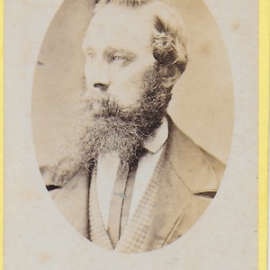 CDV, Viktorianisches Foto, Gentleman, Langer Bart, Shirt und Krawatte