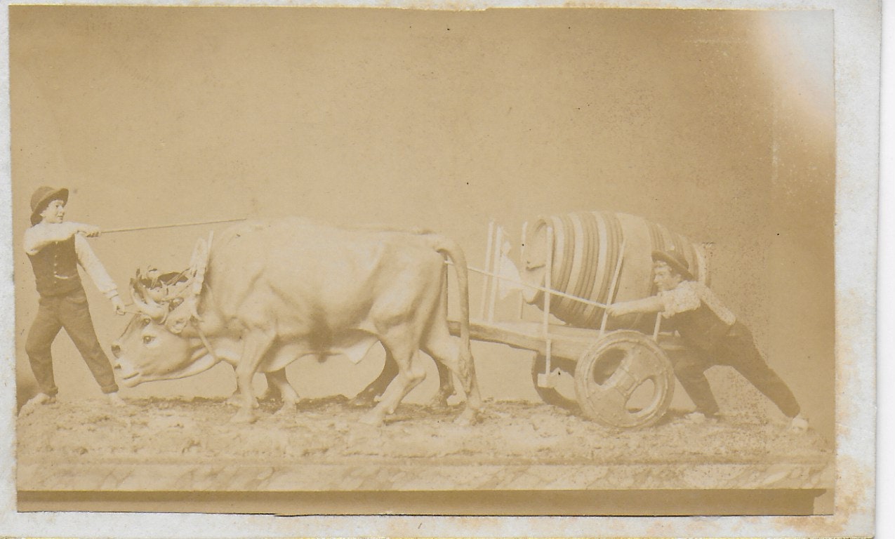 CDV, Victorian Photograph, Model of Farming, Children with Ox and Cart, Studio Portrait, Unknown
