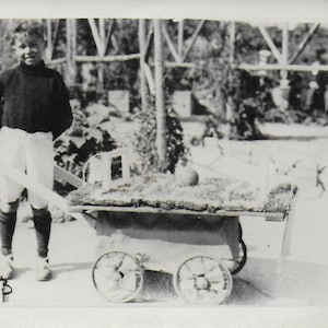 Fotografia zabytkowa, Chłopiec z wózkiem, , Cheeky Chap, W ogrodzie, Szklarnia, Historia społeczna