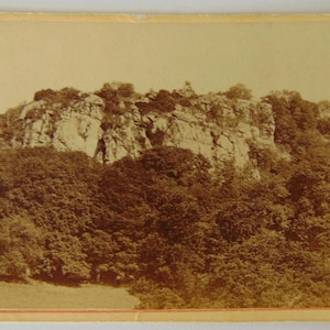 ビクトリア朝のCDV、ビクトリア朝の写真、風景 - 木々、Cキーピング、エクセター、1エクセ橋、