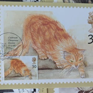 Set di cartoline vintage PHQ con gatti, 5 biglietti, Ginger Tom, francobolli, artigianato, progetti artistici, diari, decorazioni murali, articoli per l'artigianato