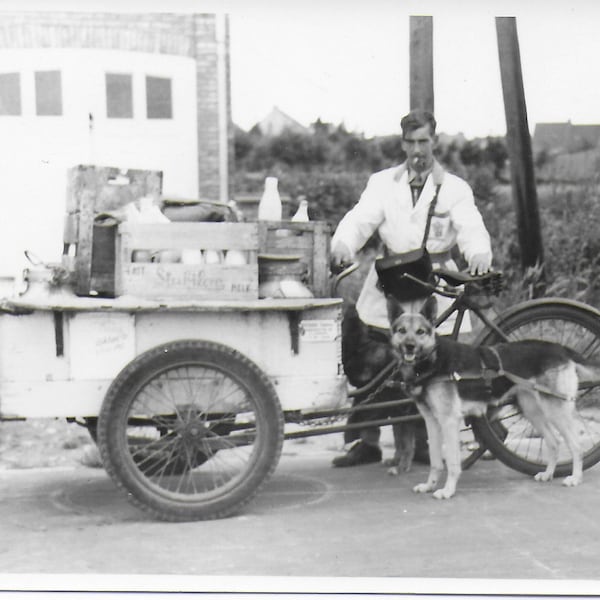 Digital Download, The Milk Man, Man Cart on Wheels, Smoking Milk Man, Alsatian, Working man, Social History