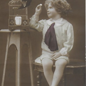 Cartolina d'epoca, bambino, gabbia per uccelli, portavaso, anni '10, spedita, francobollo, timbro postale