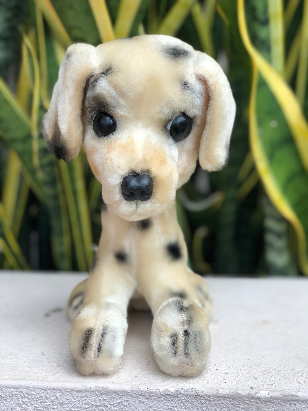 polka dot stuffed dog