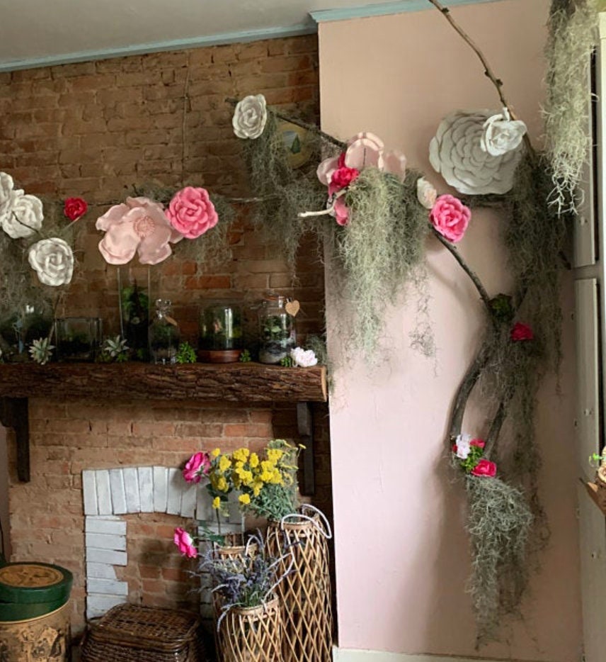 SALE 3 Gal. Spanish Moss Craft Mulch or Hang Live Air Etsy UK