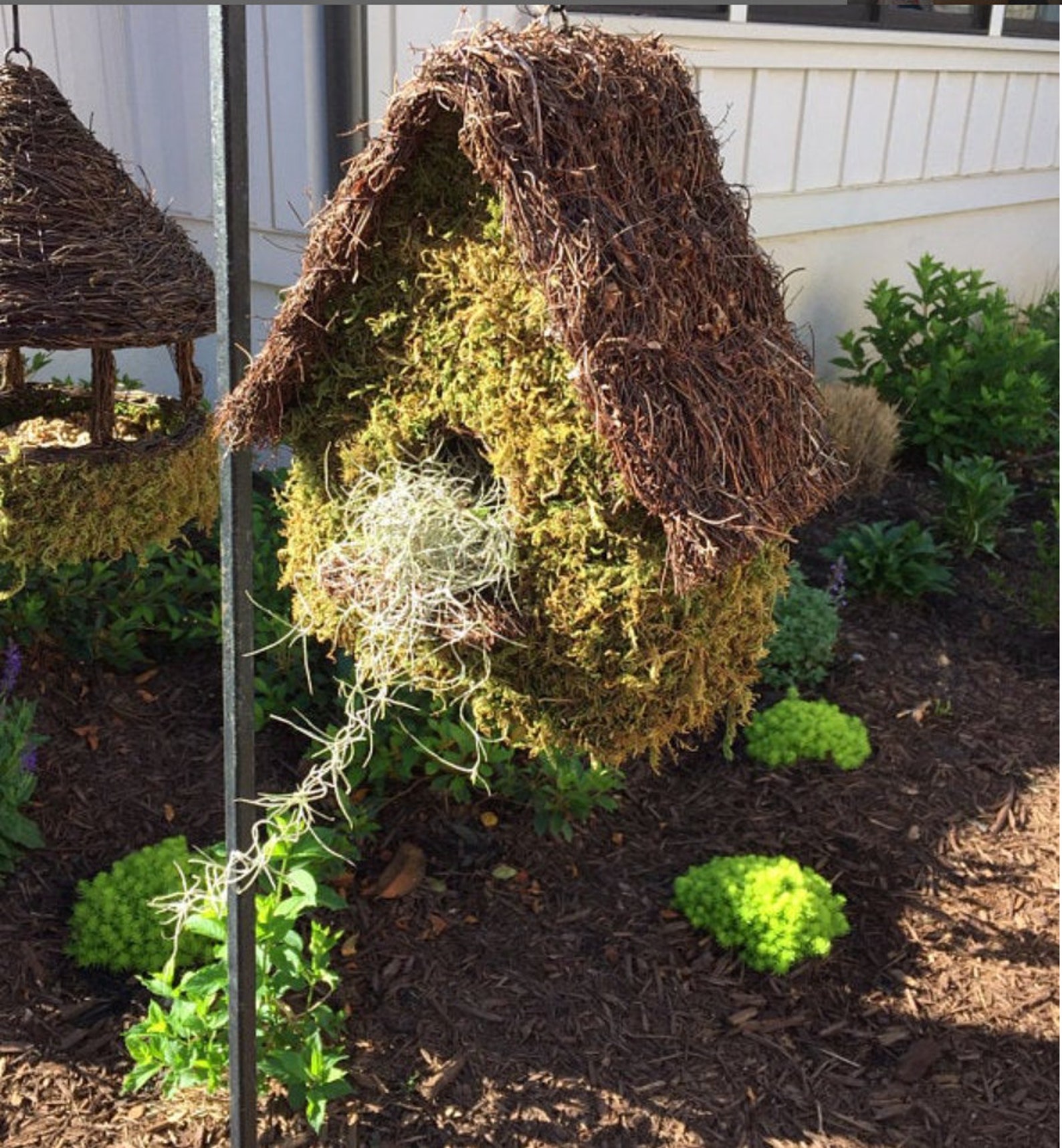 3 Gal. Spanish Moss Craft Mulch or Hang live Air Plant Etsy