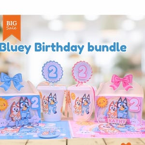 Bluey Birthday Party Favor Boxes: Handmade Packaging Set