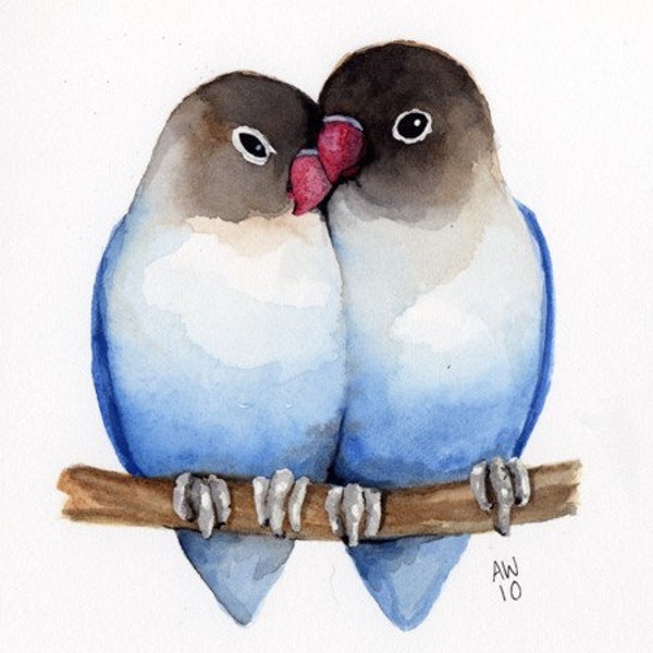 Lovebirds -  Original watercolour