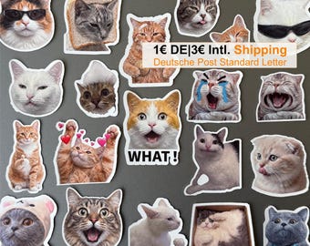10-50 Funny Cat Meme Stickers – Cute Vinyl Decals for Laptop, Journal & Gift