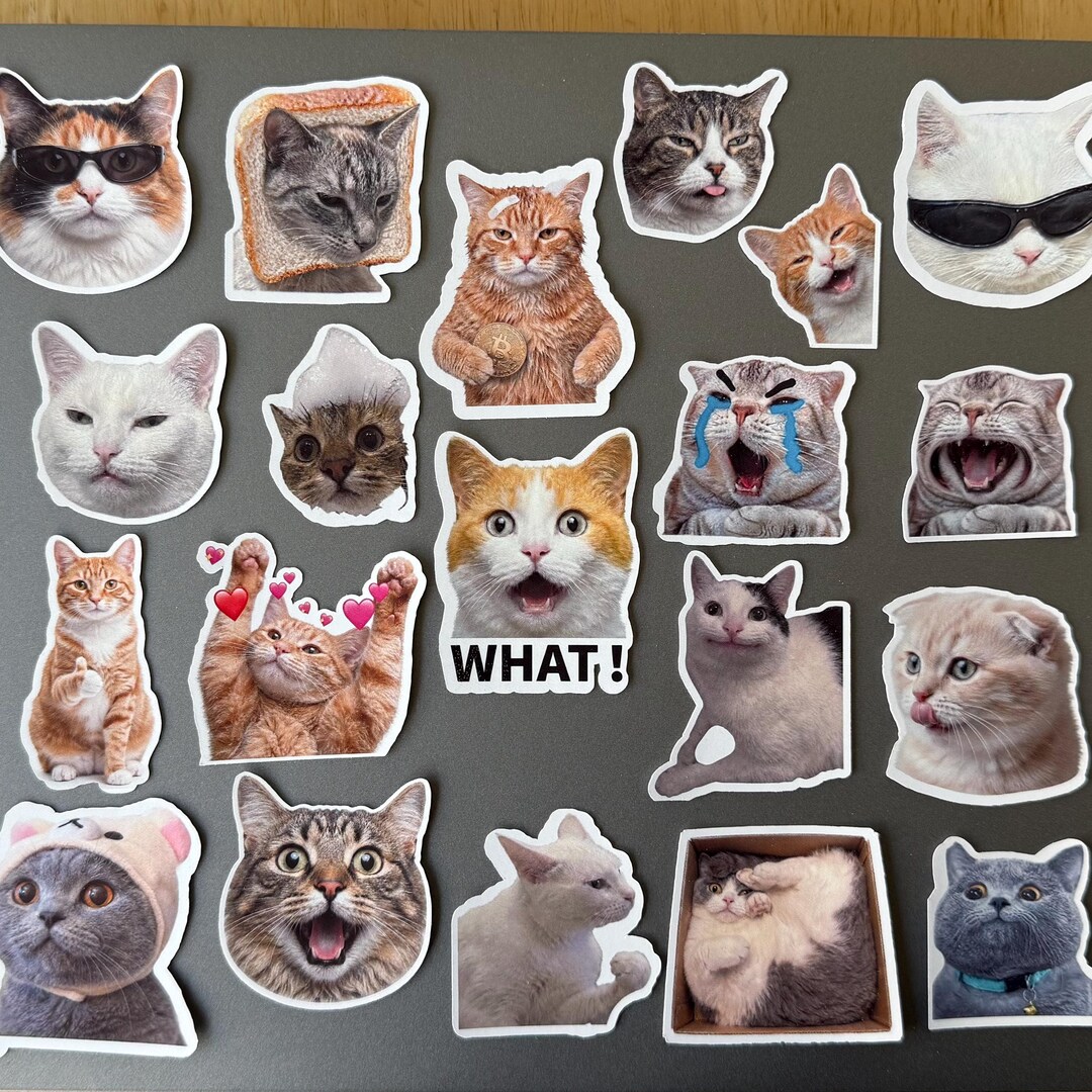 10-50 Funny Cat Meme Stickers – Cute Vinyl Decals for Laptop, Journal ...