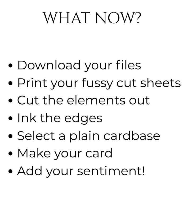 May include: A white background with black text. The text reads "WHAT NOW?" followed by a list of instructions: Download your files, Print your fussy cut sheets, Cut the elements out, Ink the edges, Select a plain cardbase, Make your card, and Add your sentiment!