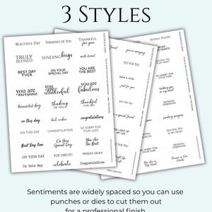 May include: Three sheets of sentiments for card making, featuring phrases such as "Thinking of You" and "Best Day Ever." The text is black on a white background. The words "3 Styles" are at the top. The bottom text says "Sentiments are widely spaced..."