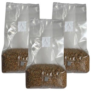 May include: Three clear plastic bags filled with brown and beige grains. The bags are sealed and have a white label on the front.