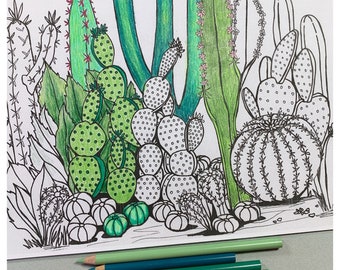 American Southwest Desert Cactus Printable Coloring Page, Succulents, Digital Download, Adult Coloring, Cactus Coloring Page, Hand Drawn